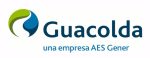 GUACOLDA-LOGO